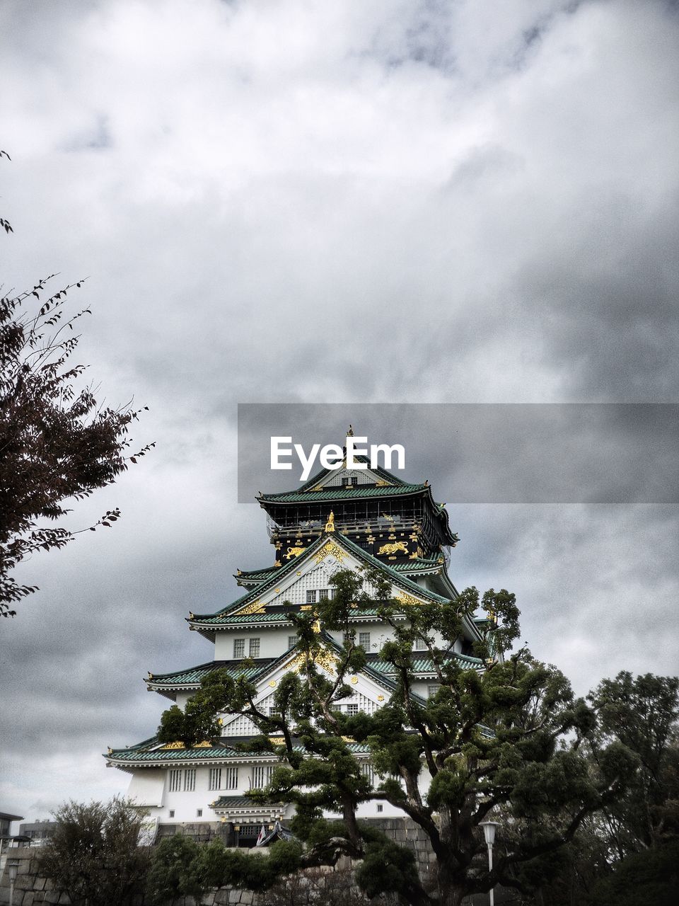 LOW ANGLE VIEW OF TREES AND BUILDING AGAINST SKY