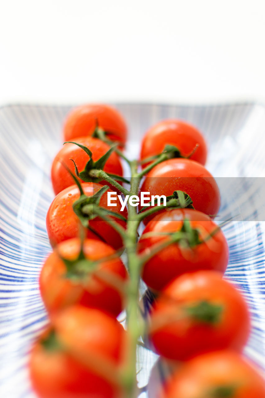 CLOSE-UP OF TOMATOES ON PLATE