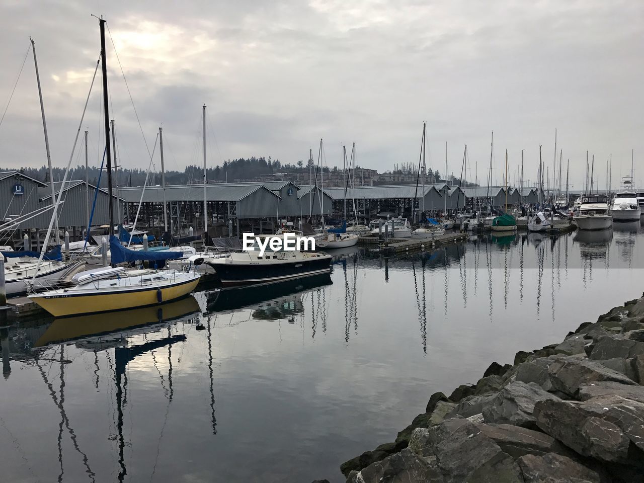 Sailboats moored at harbor