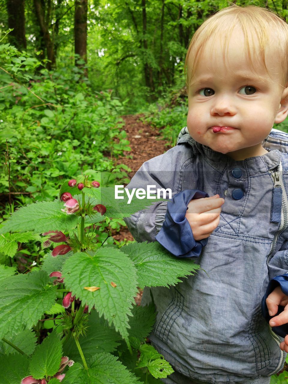portrait of cute baby boy standing amidst plants