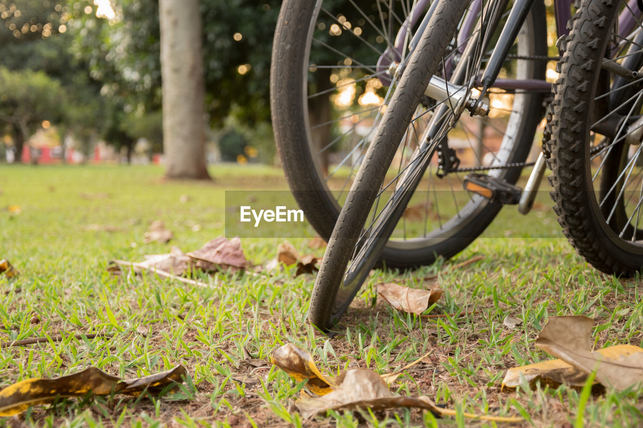 BICYCLE PARKED ON FIELD