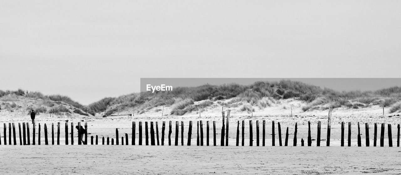 Wooden posts on beach against clear sky