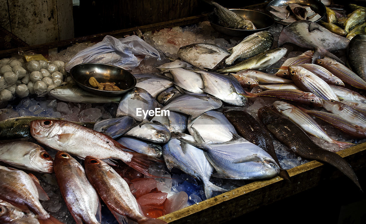 CLOSE-UP OF FISH IN MARKET