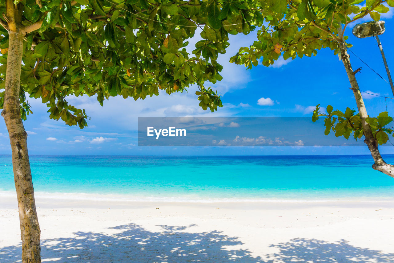 SCENIC VIEW OF BEACH AGAINST BLUE SKY