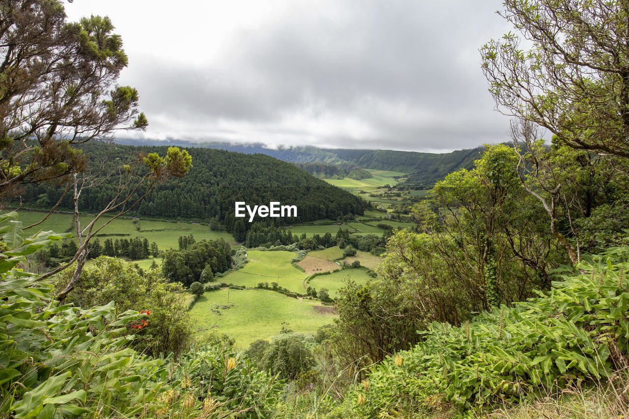 SCENIC VIEW OF LANDSCAPE