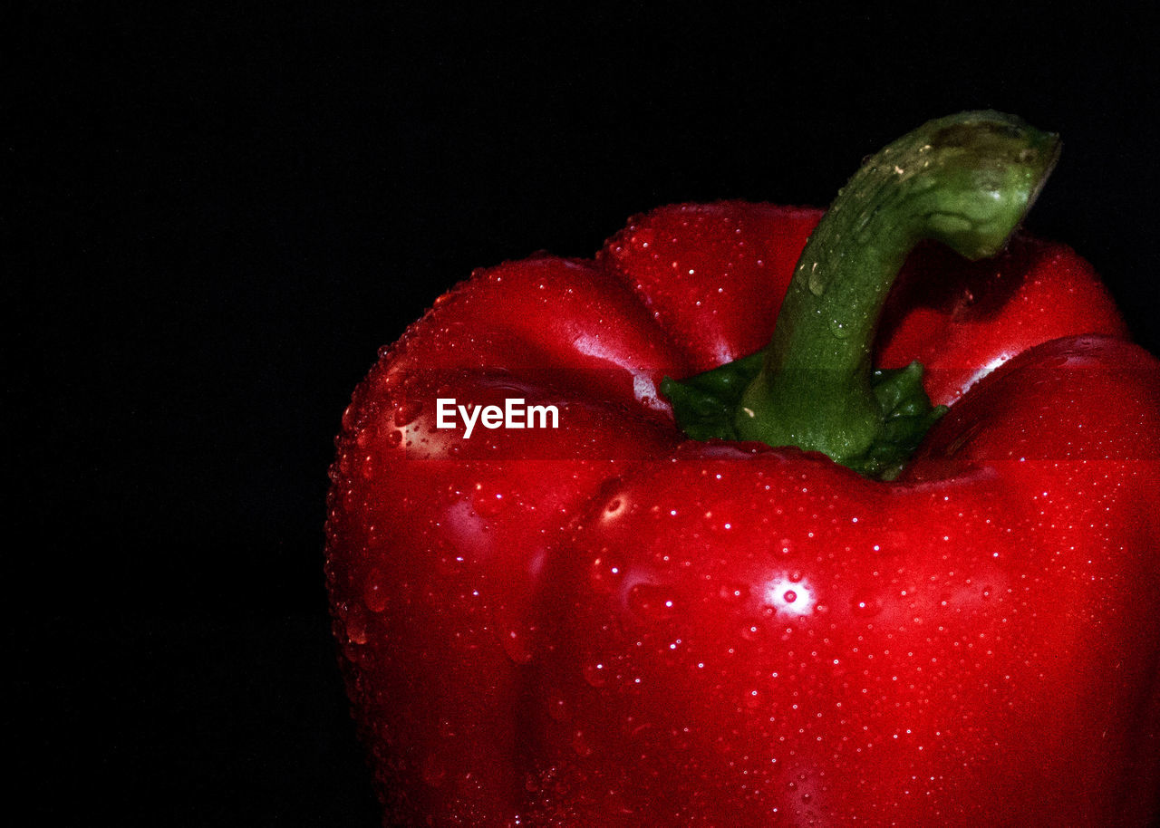 Close-up of red bell pepper over black background