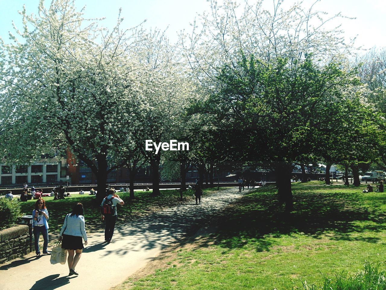 People on footpath in park