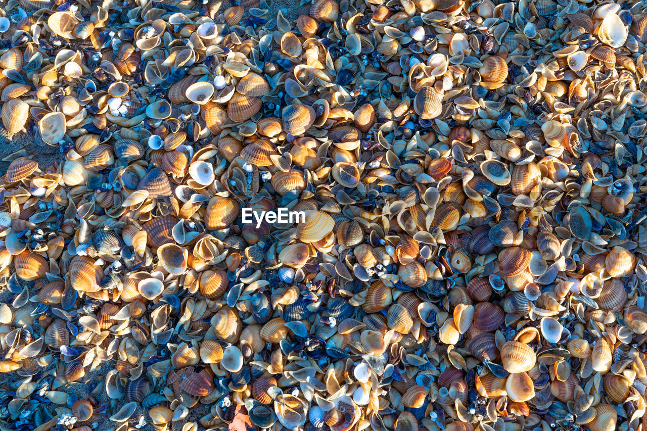 full frame, abundance, backgrounds, large group of objects, no people, day, nature, pebble, land, pattern, outdoors, leaf, sunlight, high angle view, stone, asphalt, soil, gravel, rock, textured