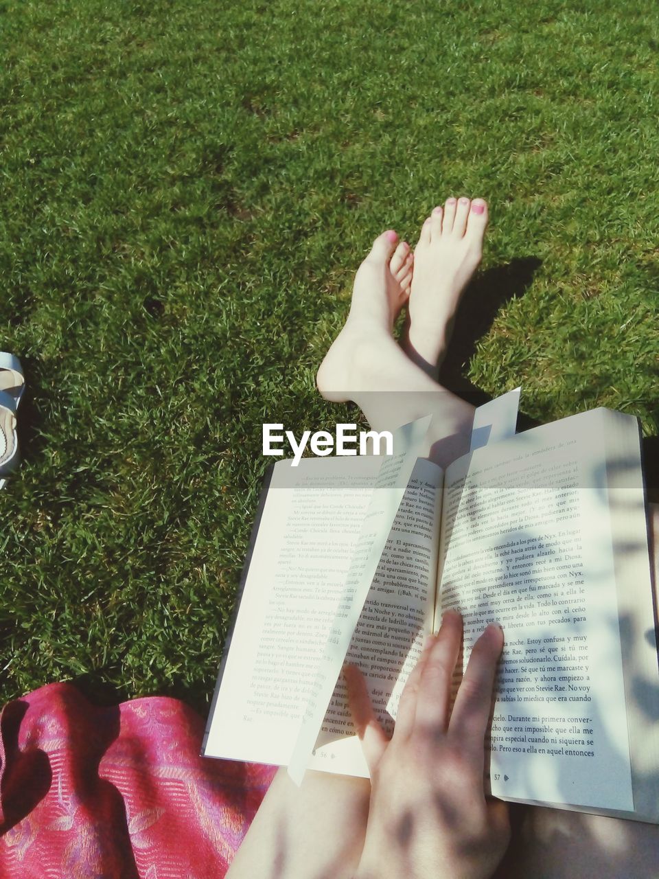 Cropped hands of woman holding book