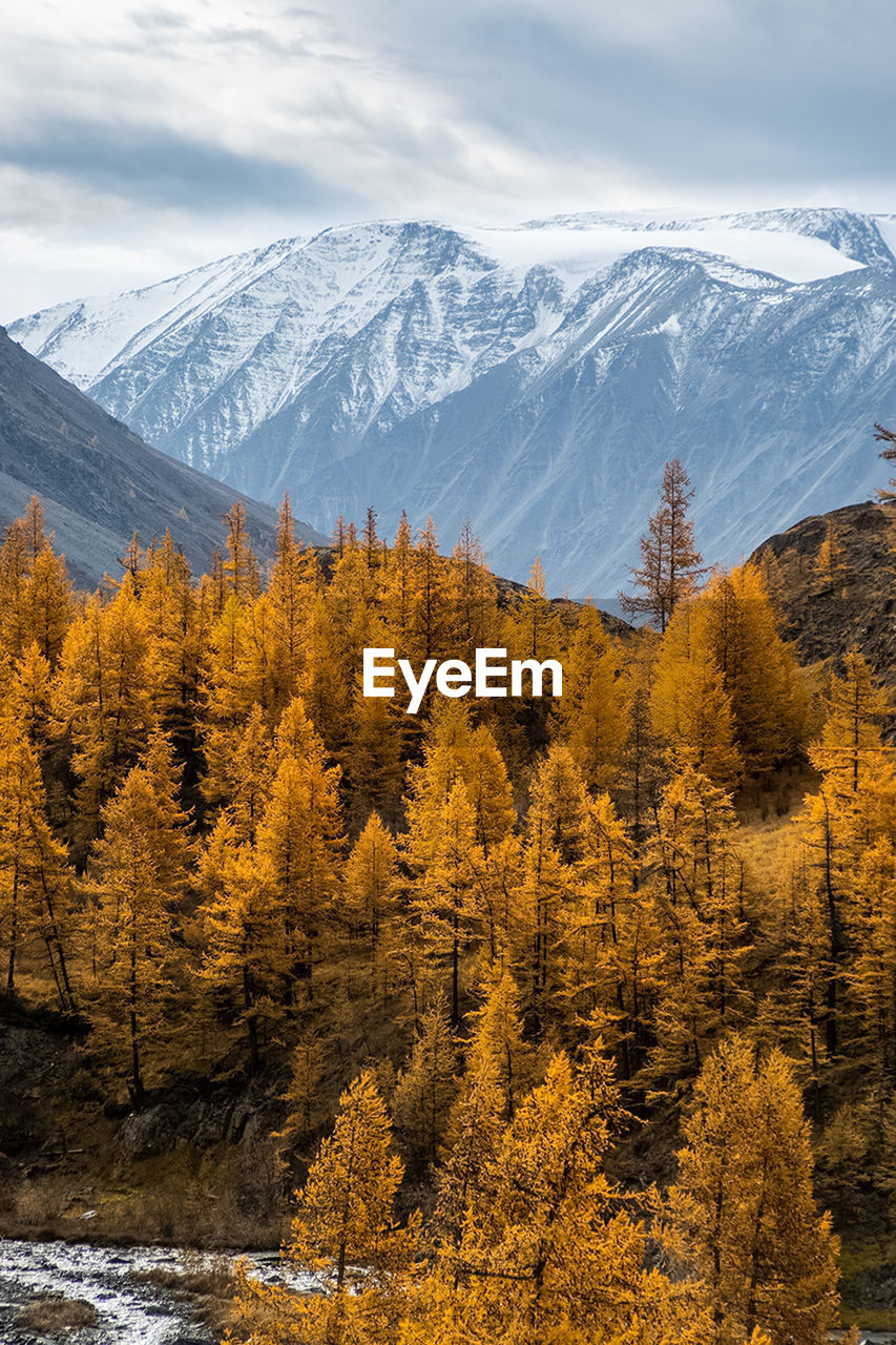 SCENIC VIEW OF SNOW COVERED MOUNTAINS AGAINST SKY