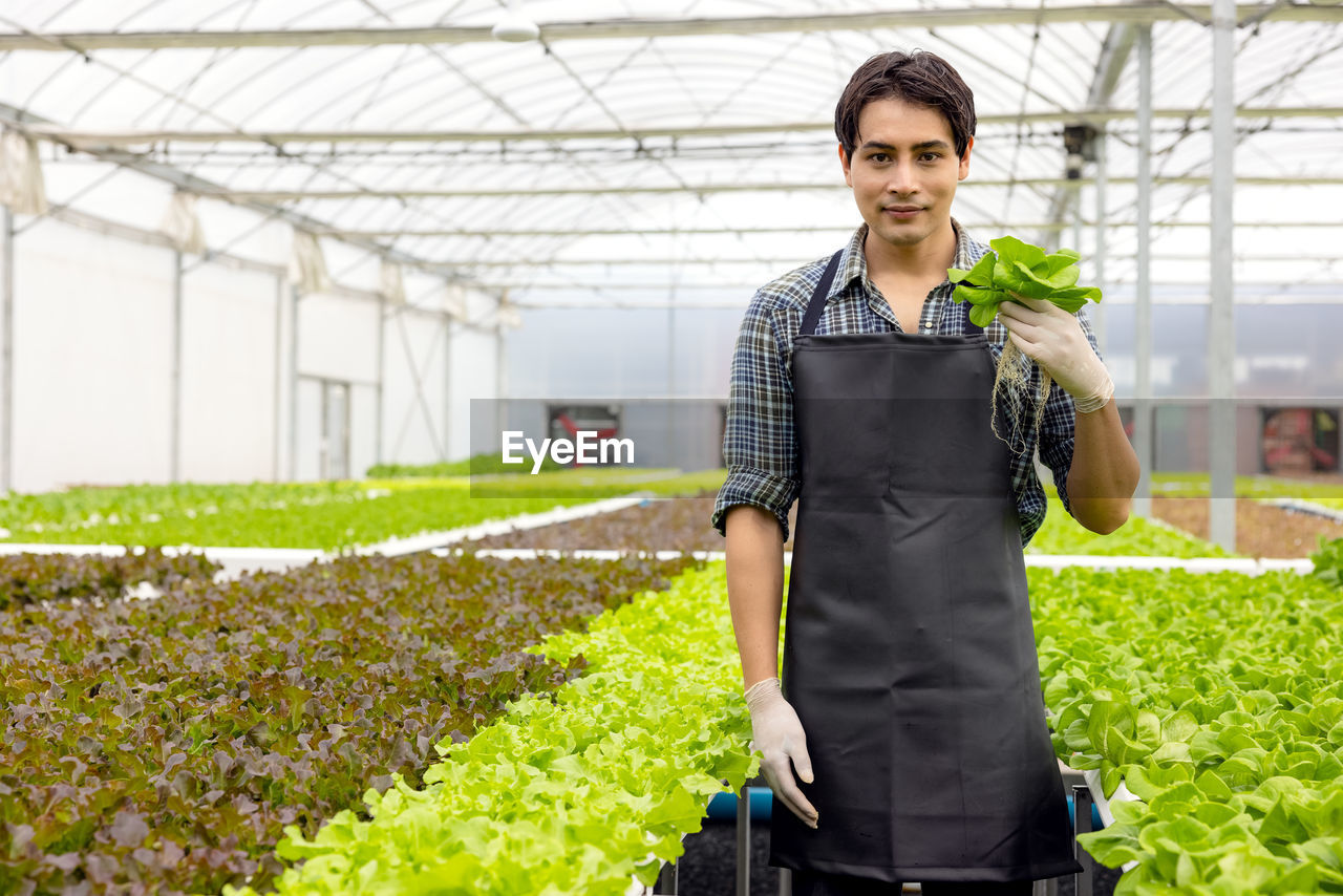 Portrait of smiling man standing in greenhouse