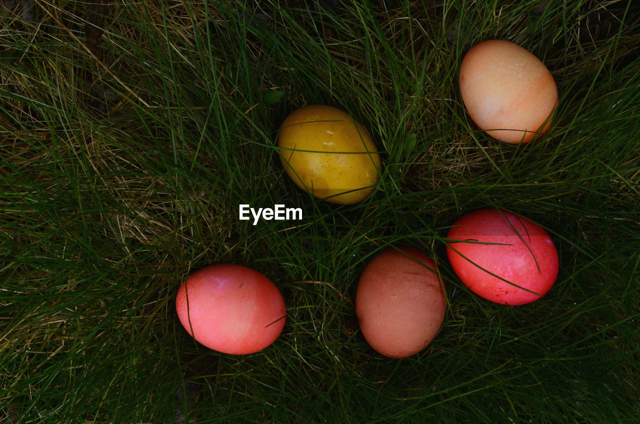 Directly above shot of multi colored easter eggs in grass