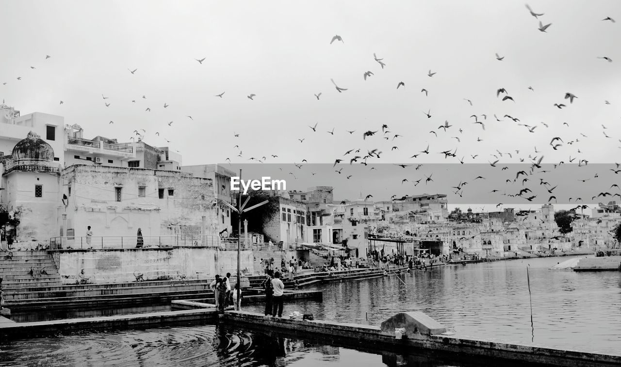 BIRDS FLYING OVER RIVER IN TOWN