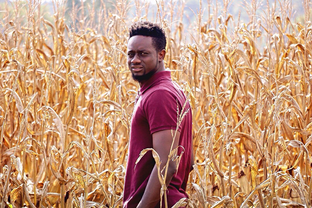 Portrait of man standing amidst crops in agricultural field