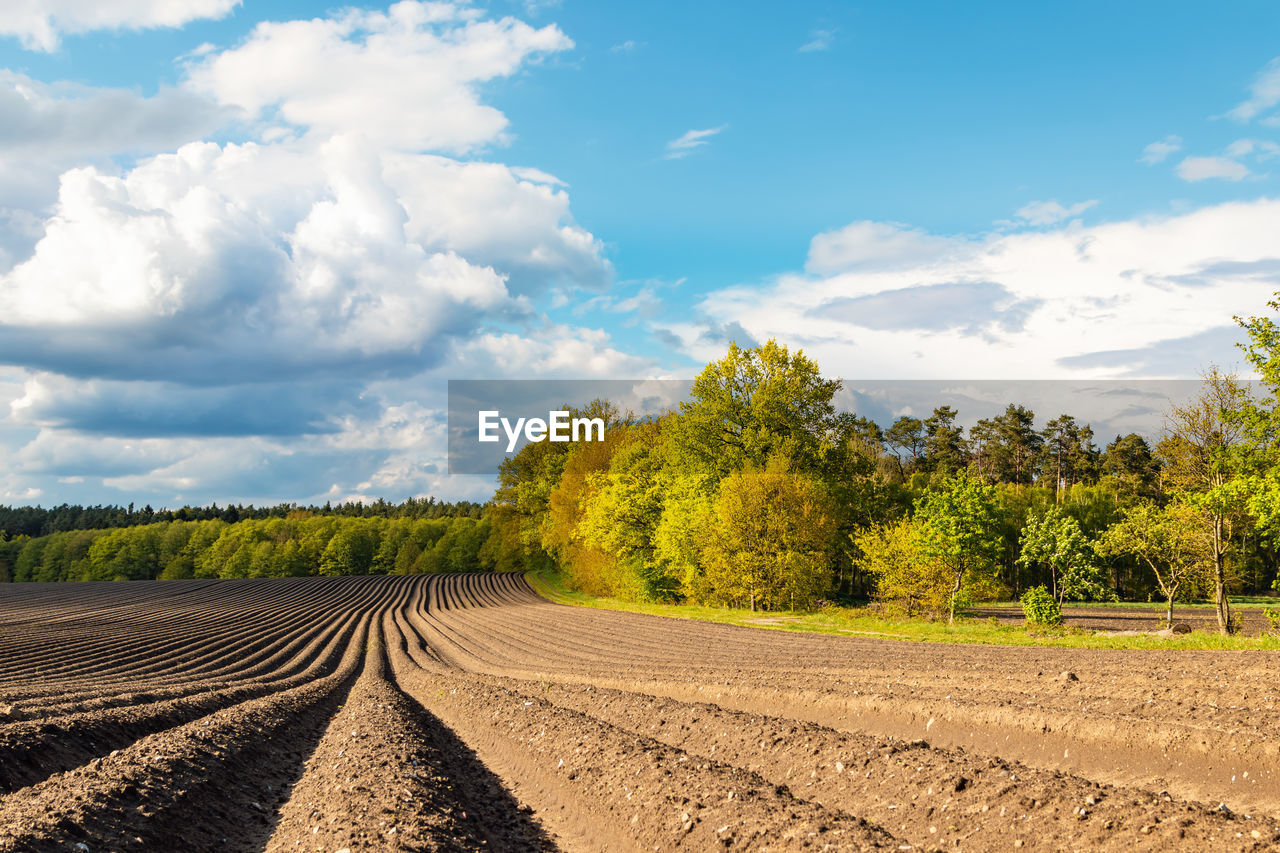 Scenic view of land against sky