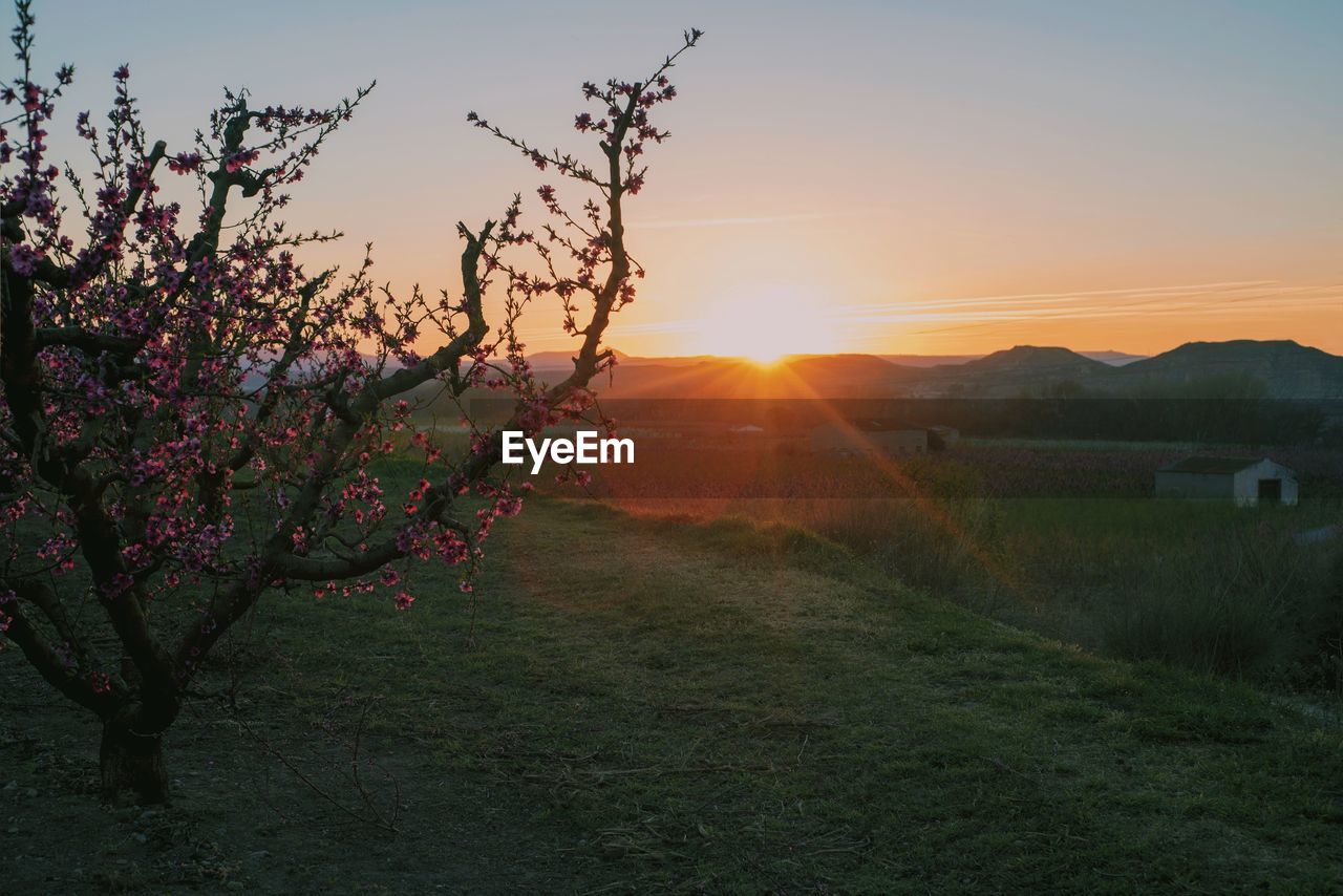 SCENIC VIEW OF FIELD AGAINST SKY AT SUNSET