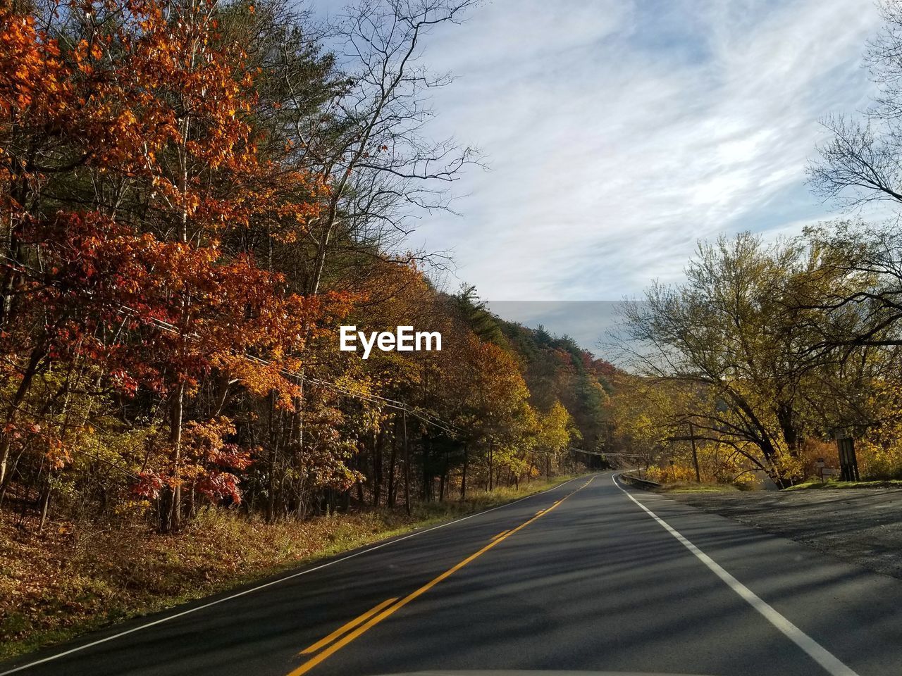 ROAD AMIDST TREES DURING AUTUMN