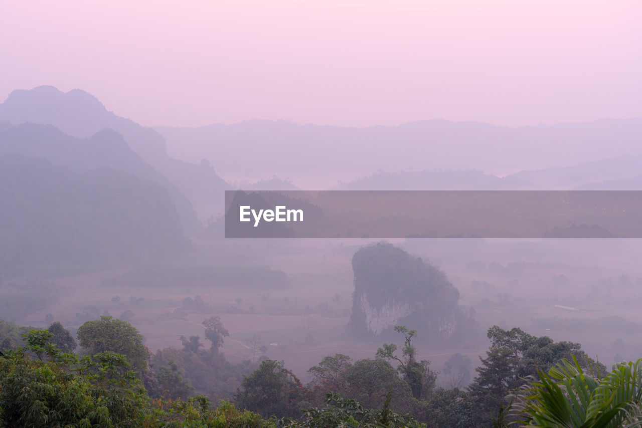 SCENIC VIEW OF TREES AND MOUNTAINS AGAINST SKY