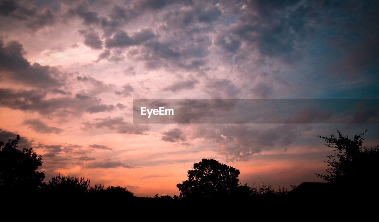 SILHOUETTE TREES AT SUNSET