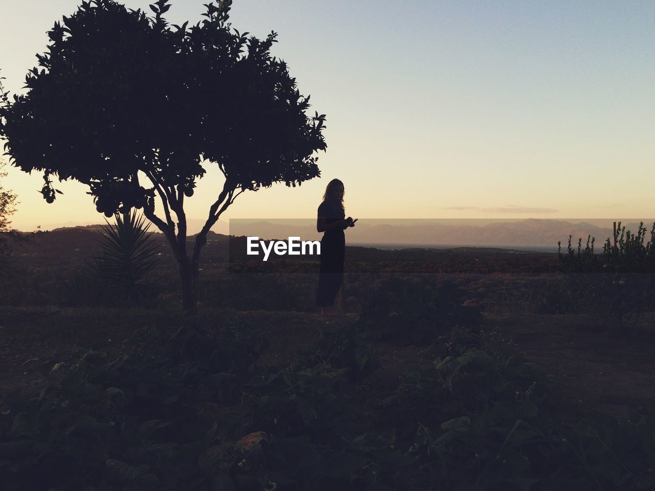 Silhouette woman standing by tree against sky