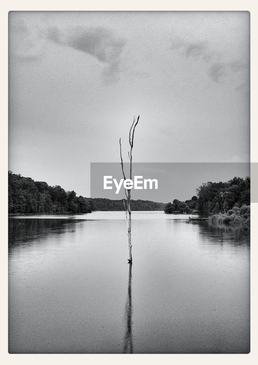 Trees by lake against sky