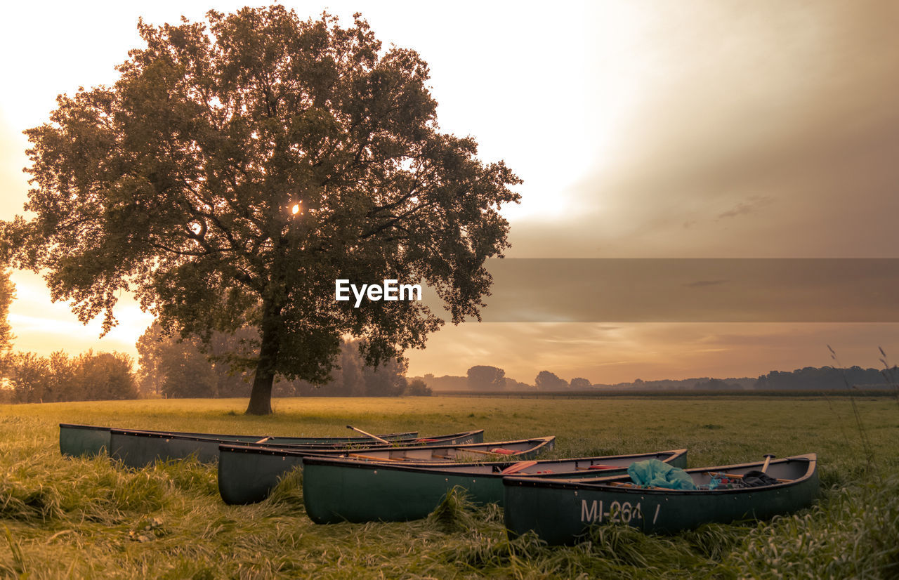 BOATS MOORED ON FIELD BY TREES AGAINST SKY