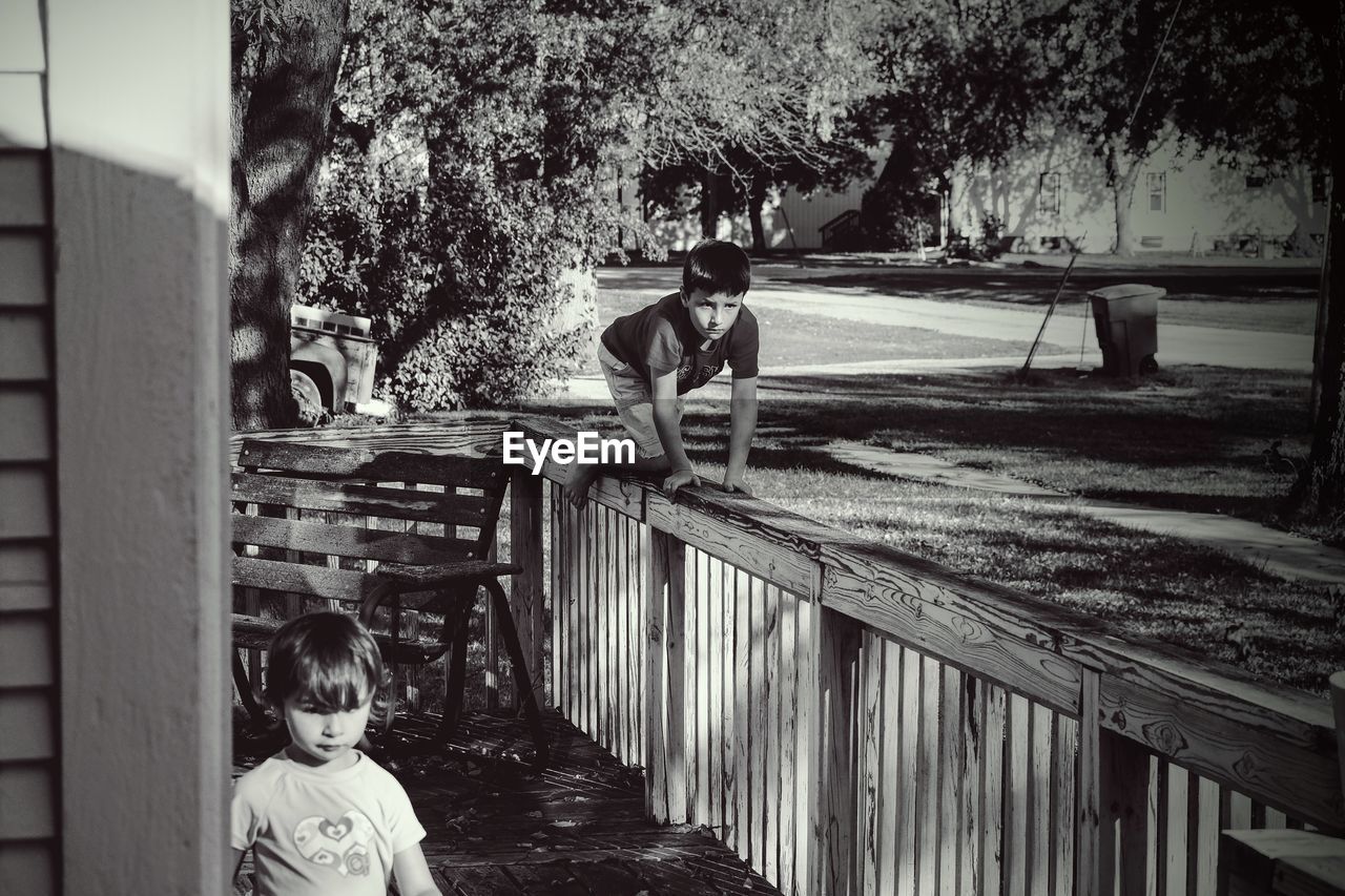 Portrait of boy standing against trees