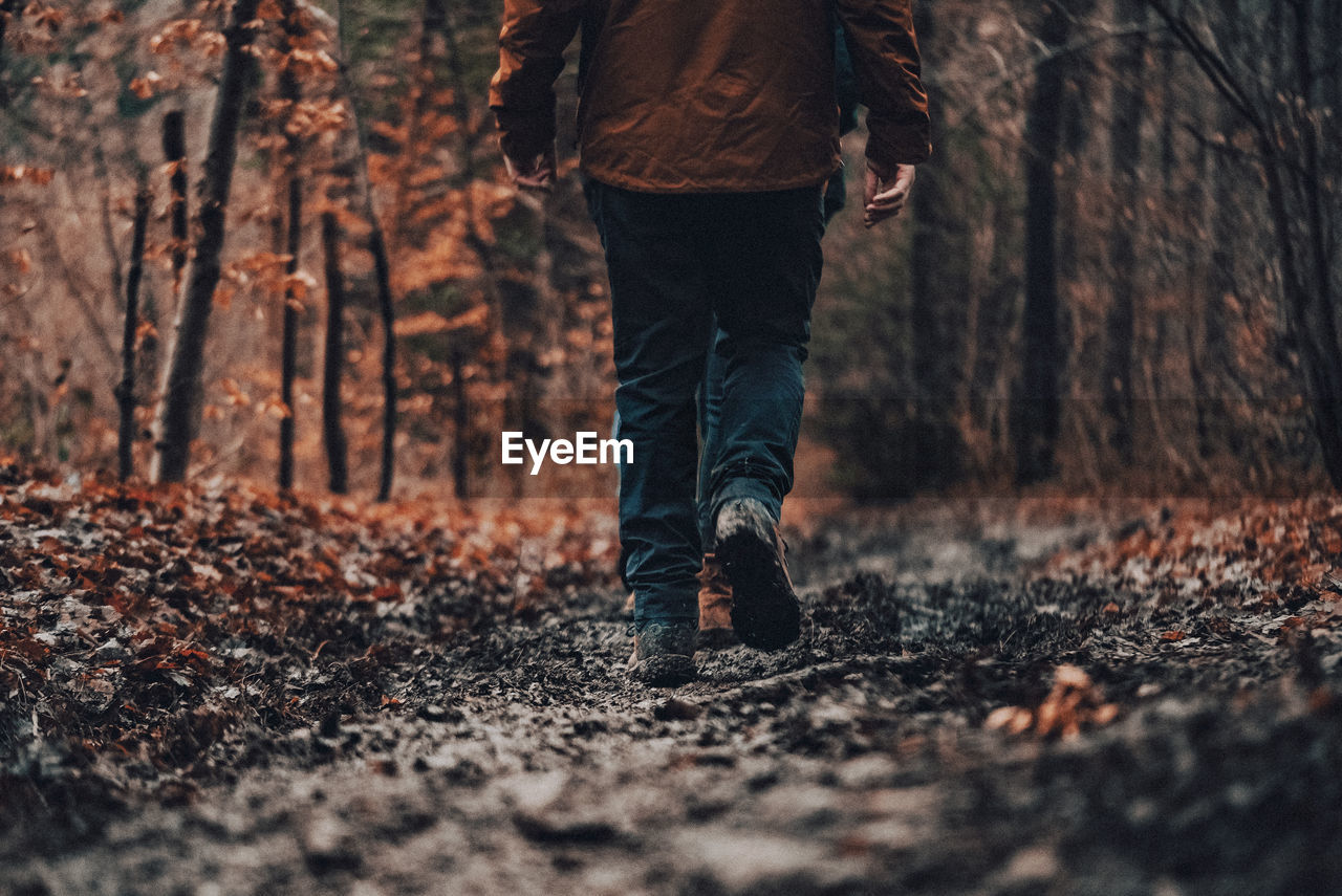 Low section of men walking in forest