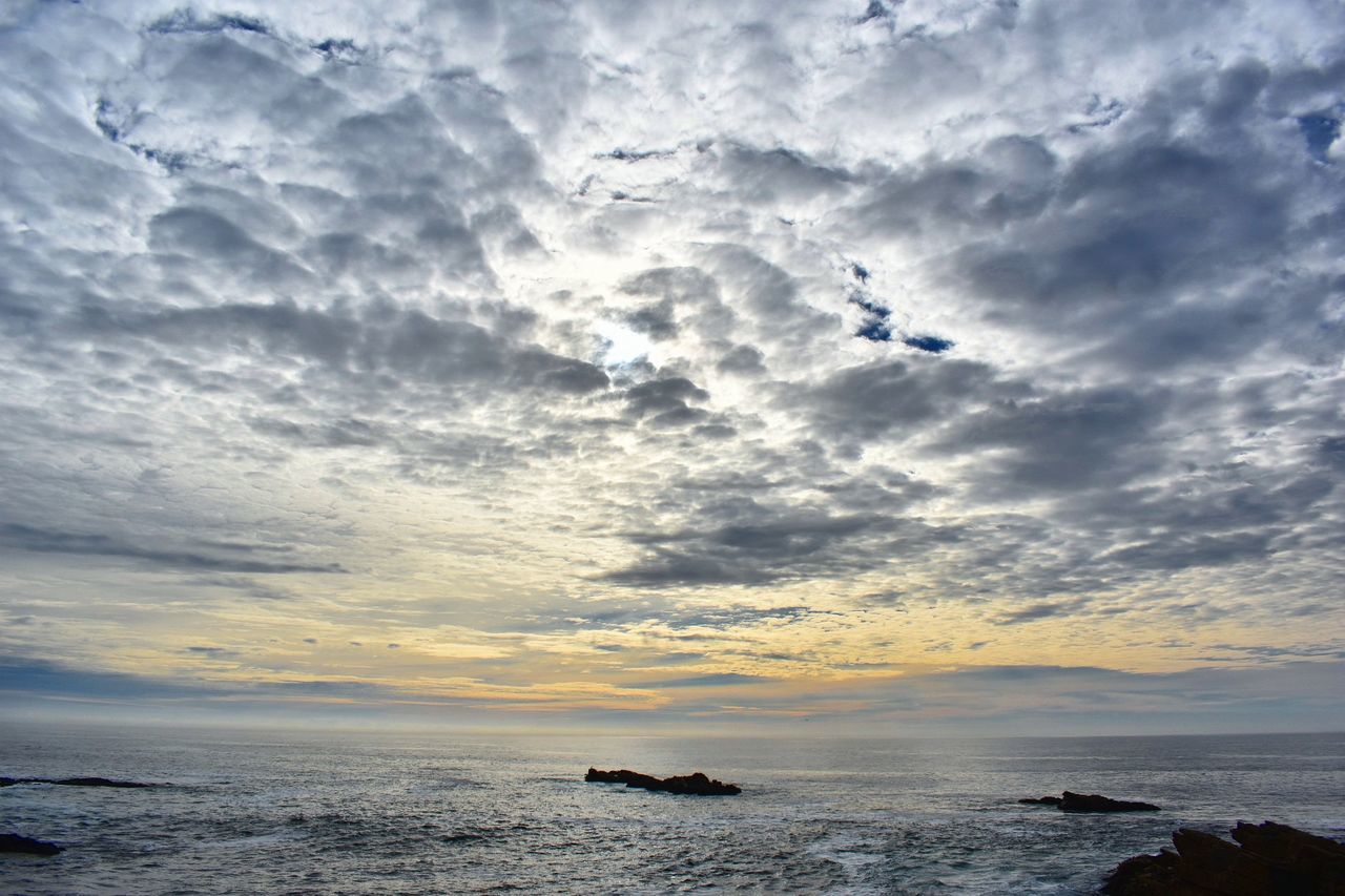 BIRD FLYING OVER SEA AGAINST SKY