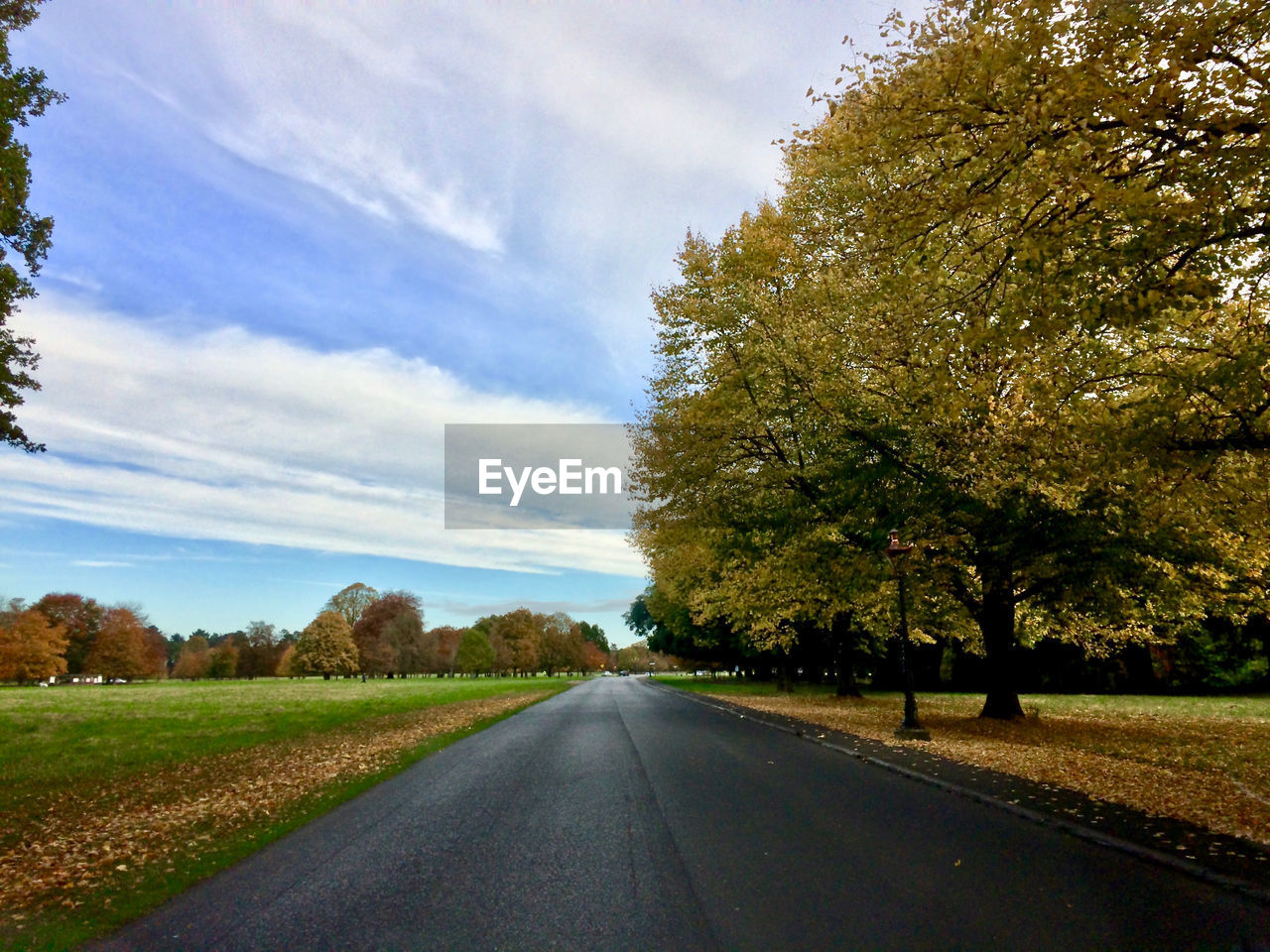 ROAD PASSING THROUGH RURAL LANDSCAPE