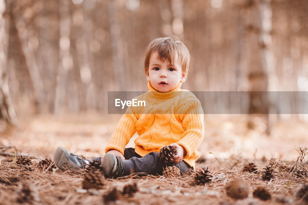 Portrait of cute boy sitting in forest