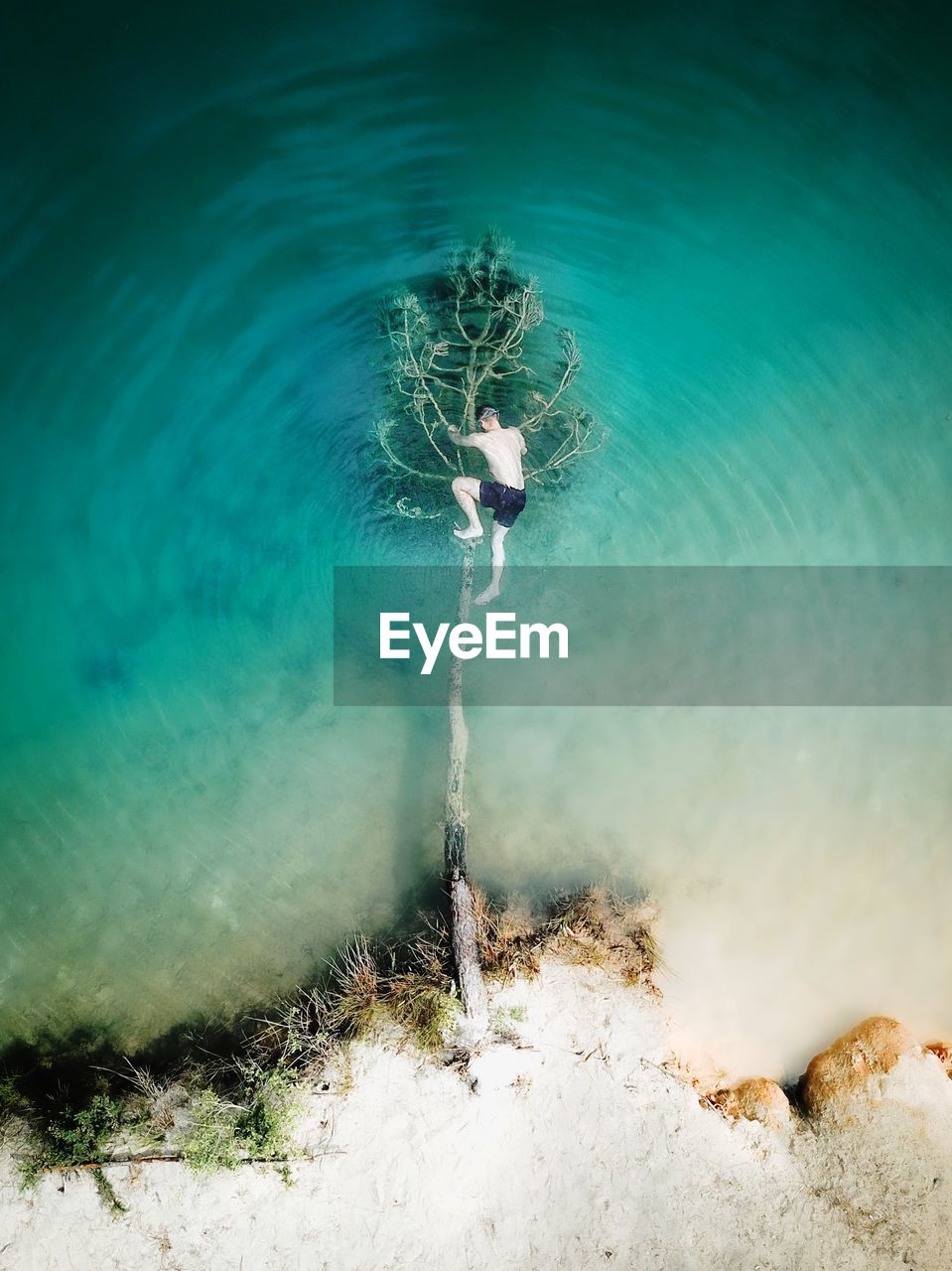 Directly above shot of man climbing on fallen tree in lake