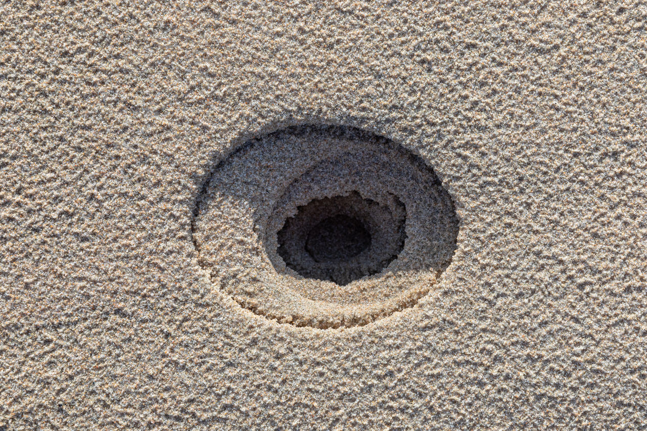 Directly above shot of layered oval hole in wet sand on a beach