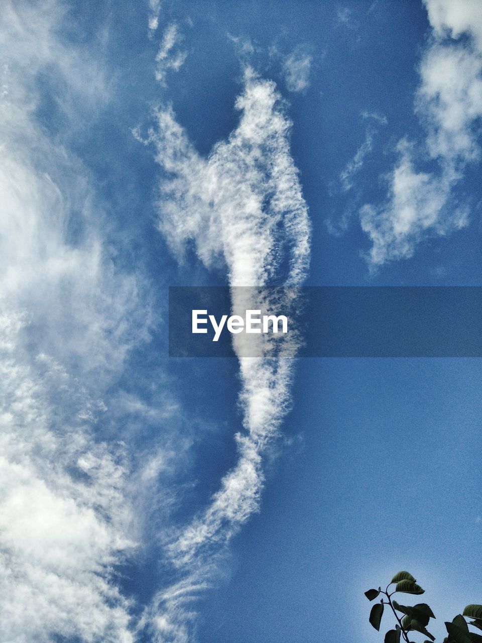 LOW ANGLE VIEW OF TREES AGAINST CLOUDY SKY