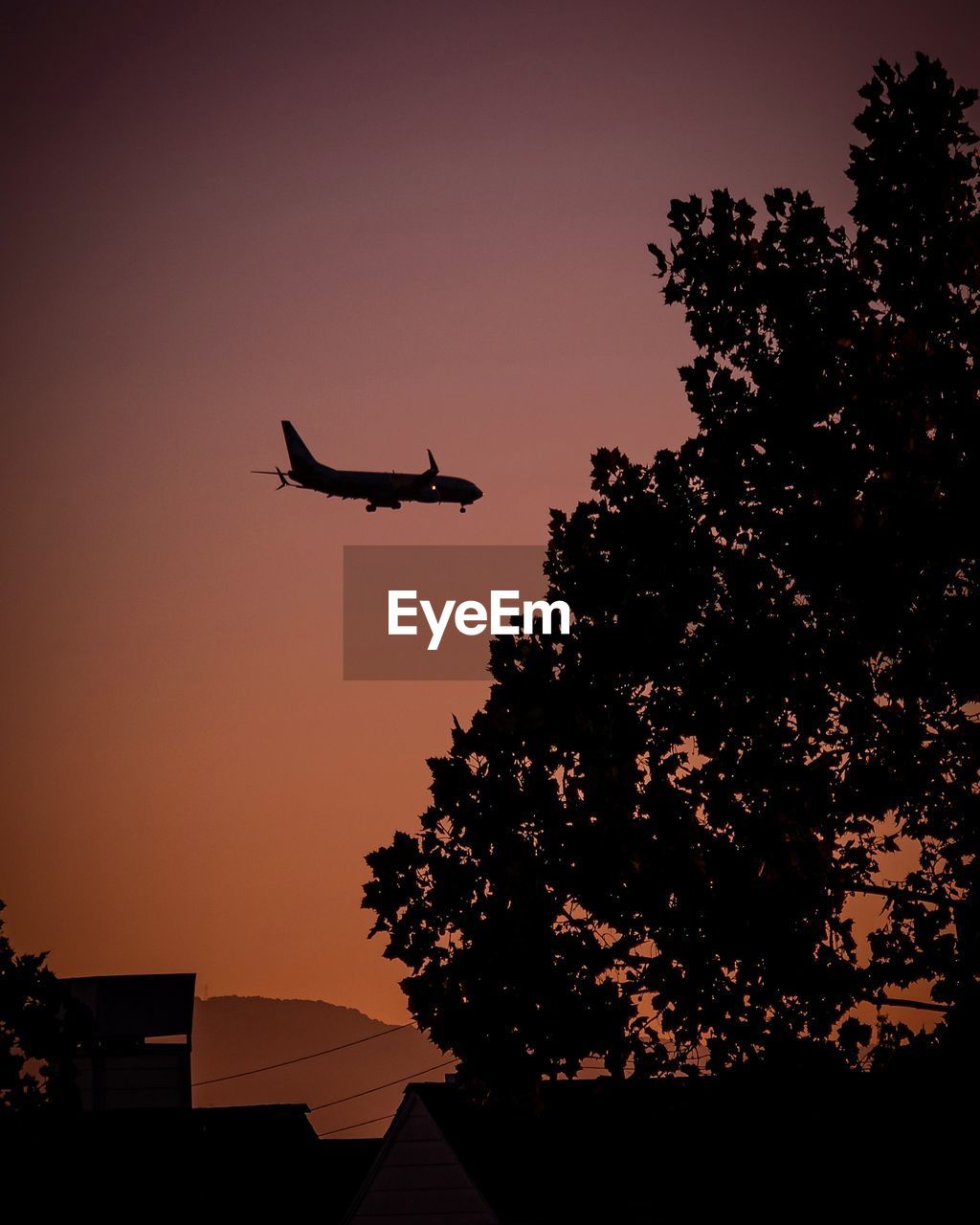 LOW ANGLE VIEW OF SILHOUETTE AIRPLANE FLYING AGAINST CLEAR SKY