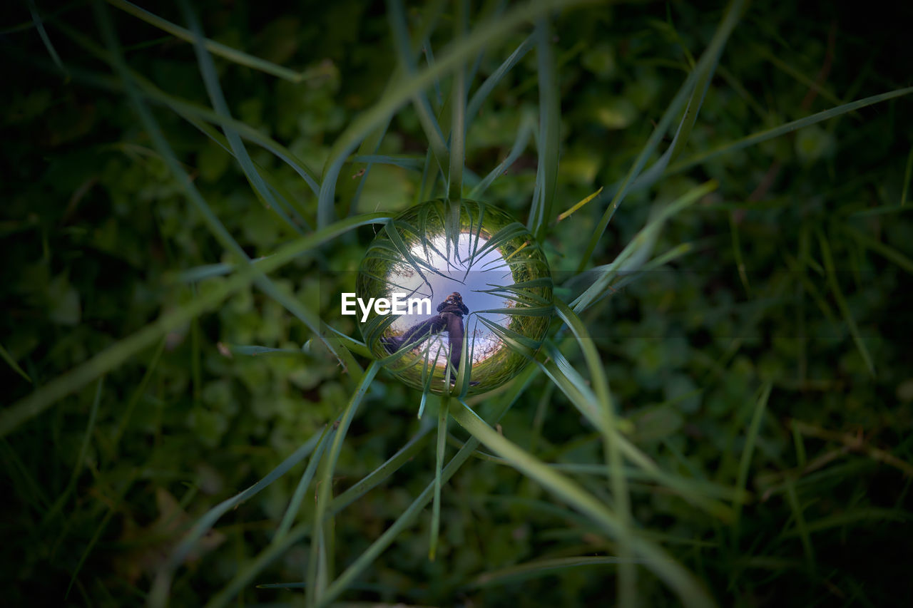 Close-up of a inox sphere on field