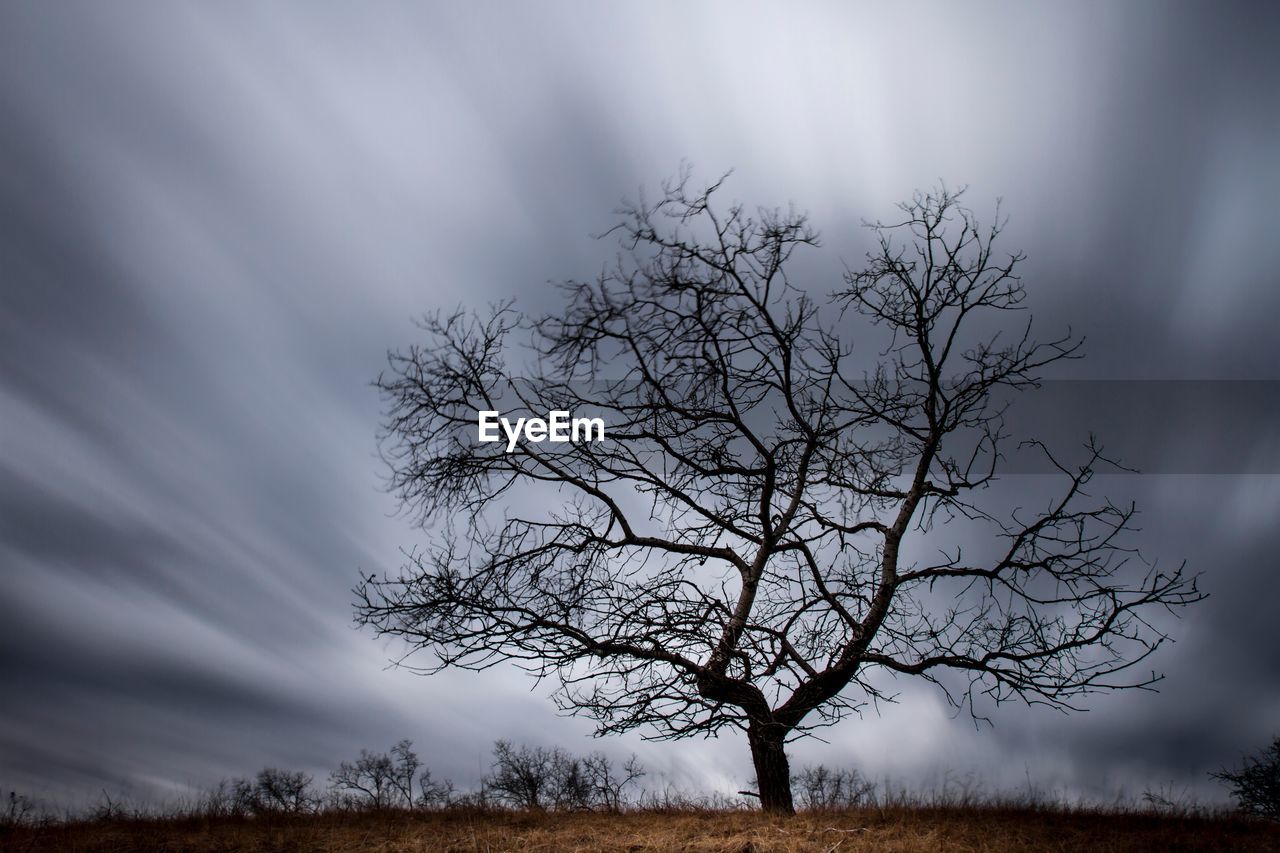 Silhouette bare tree on field against sky