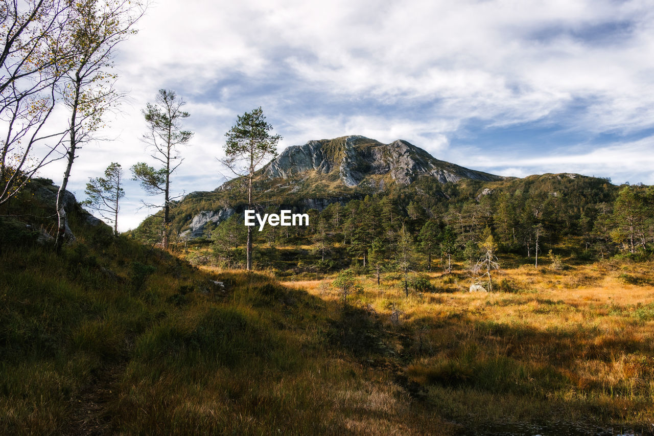 Scenic view of a mountain and woodland against sky