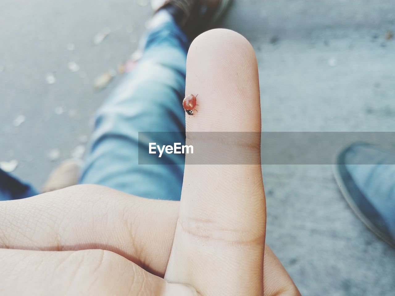 Low section of woman with small bug on finger