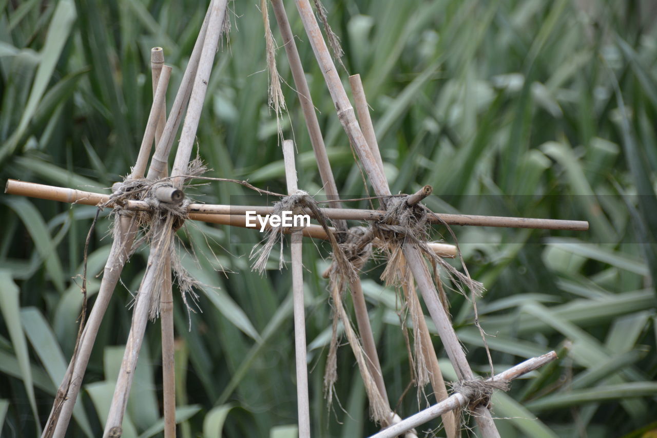 Close-up of sticks tied to ropes against grass