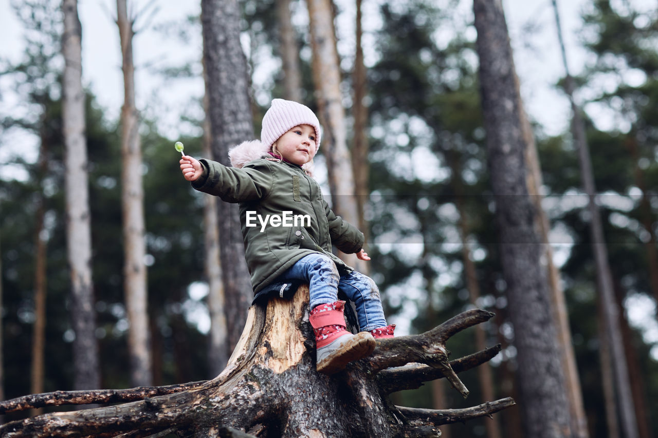 A girl is sitting on a stump in the woods with a chupa chups.