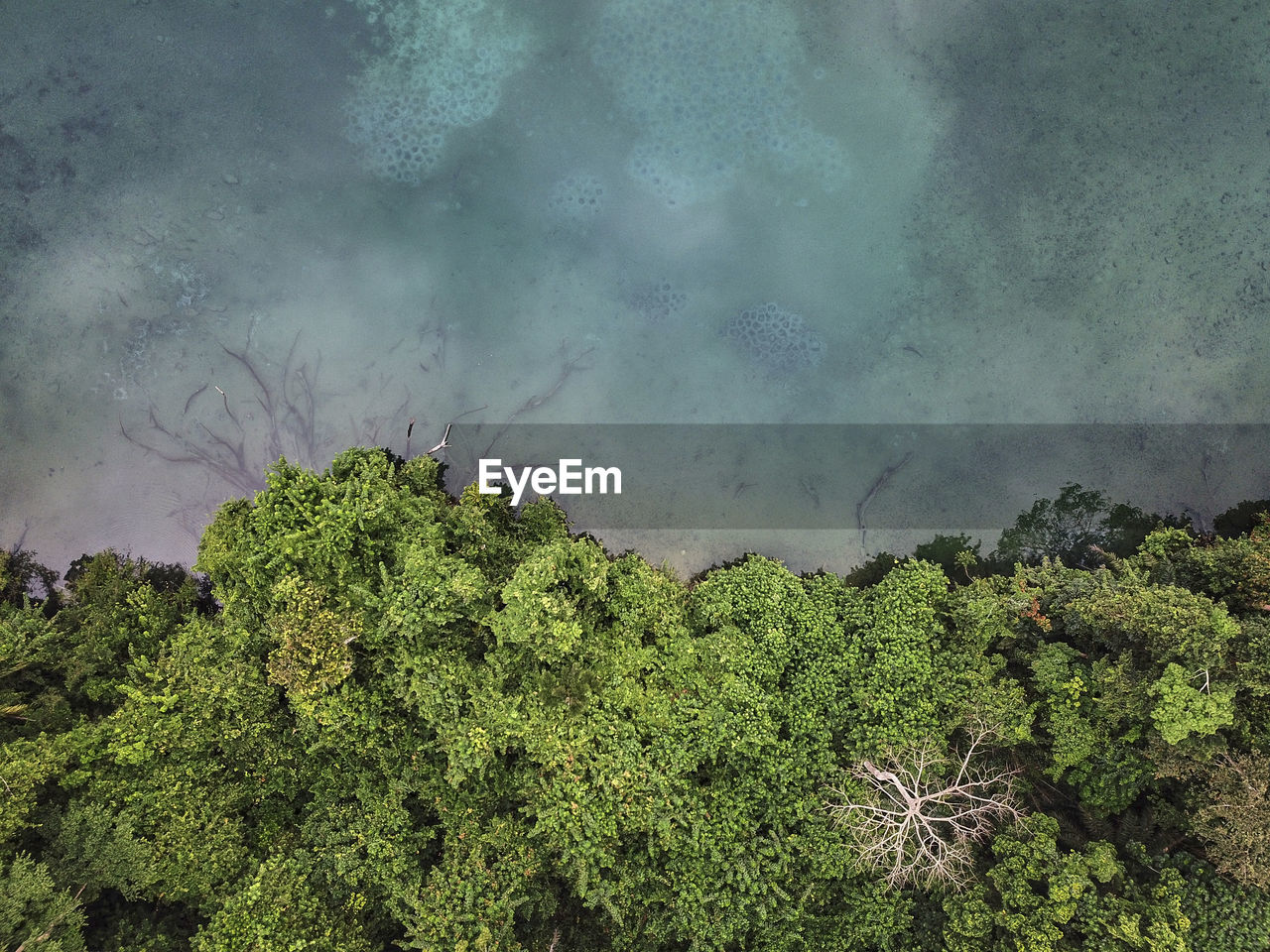 Gabon, aerial view of forested shore of lac bleu lake