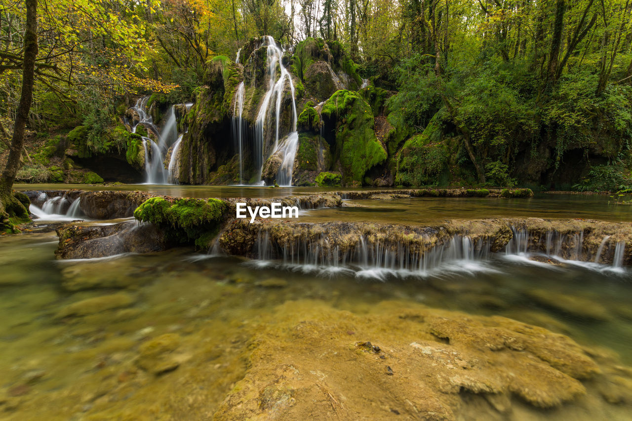 VIEW OF WATERFALL IN FOREST