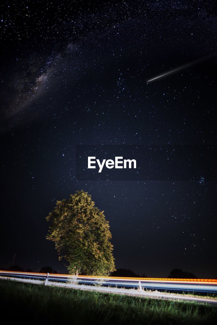 Trees against sky at night