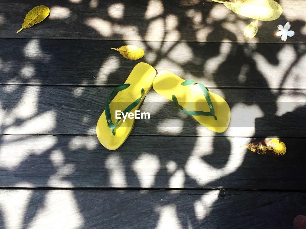 High angle view of yellow flip flops on floor