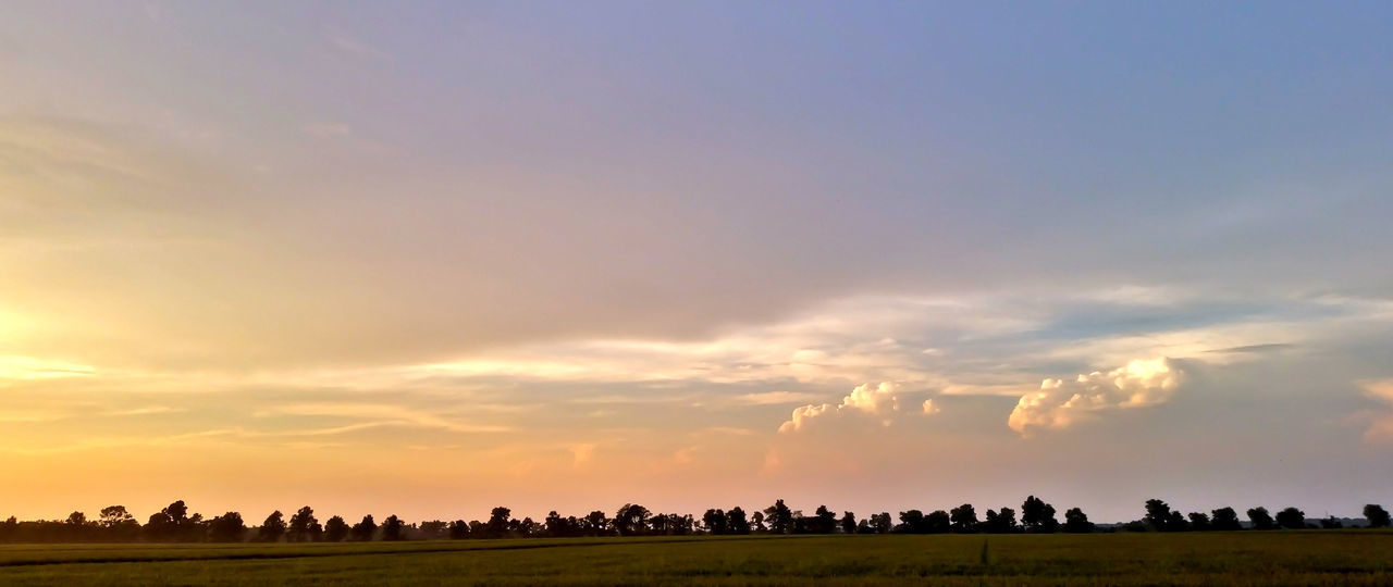 PANORAMIC VIEW OF AGRICULTURAL FIELD AGAINST SKY