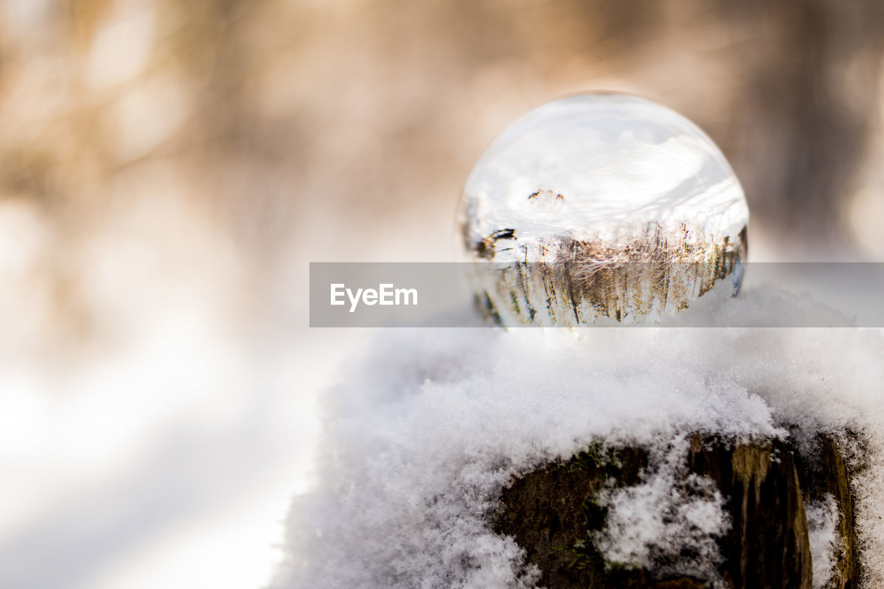 CLOSE-UP OF SNOW COVERED WITH ICE