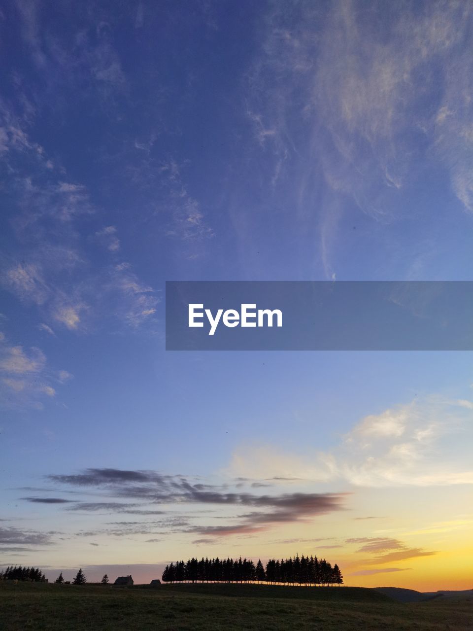 Scenic view of field against sky during sunset