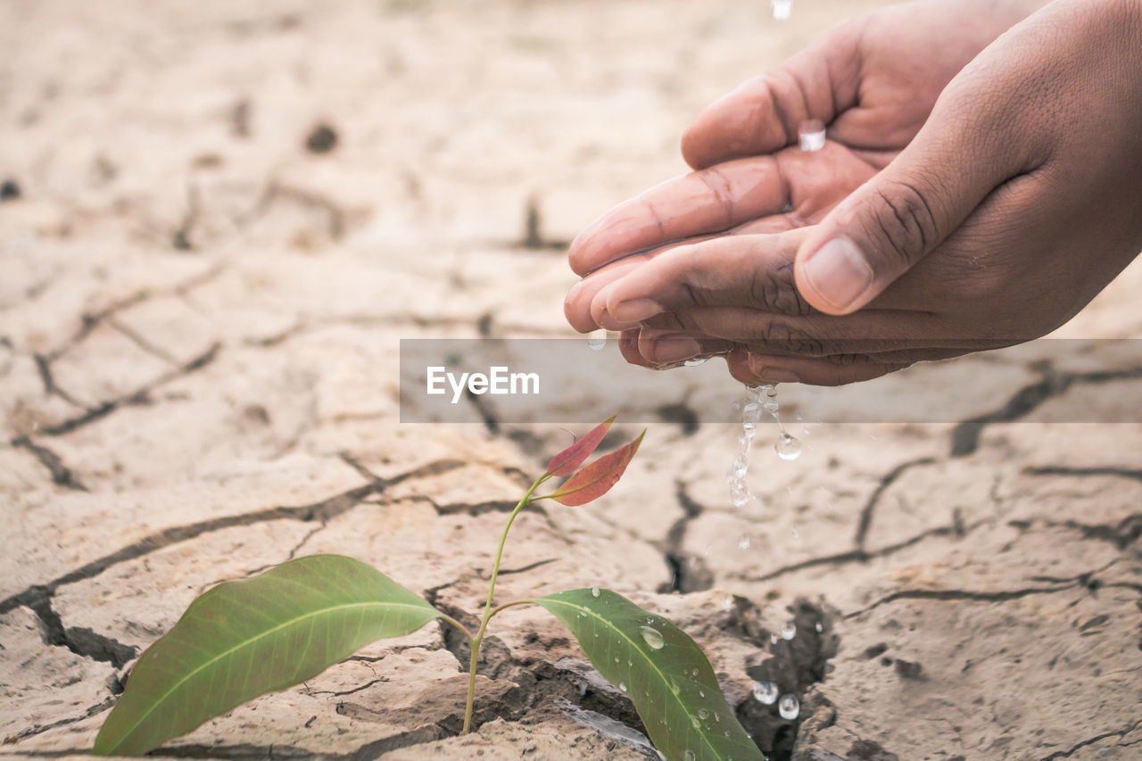 Low section of man watering plant on barren field