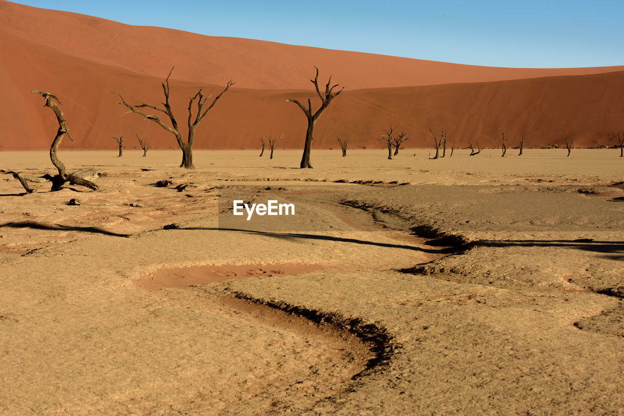 Scenic view of desert against clear sky